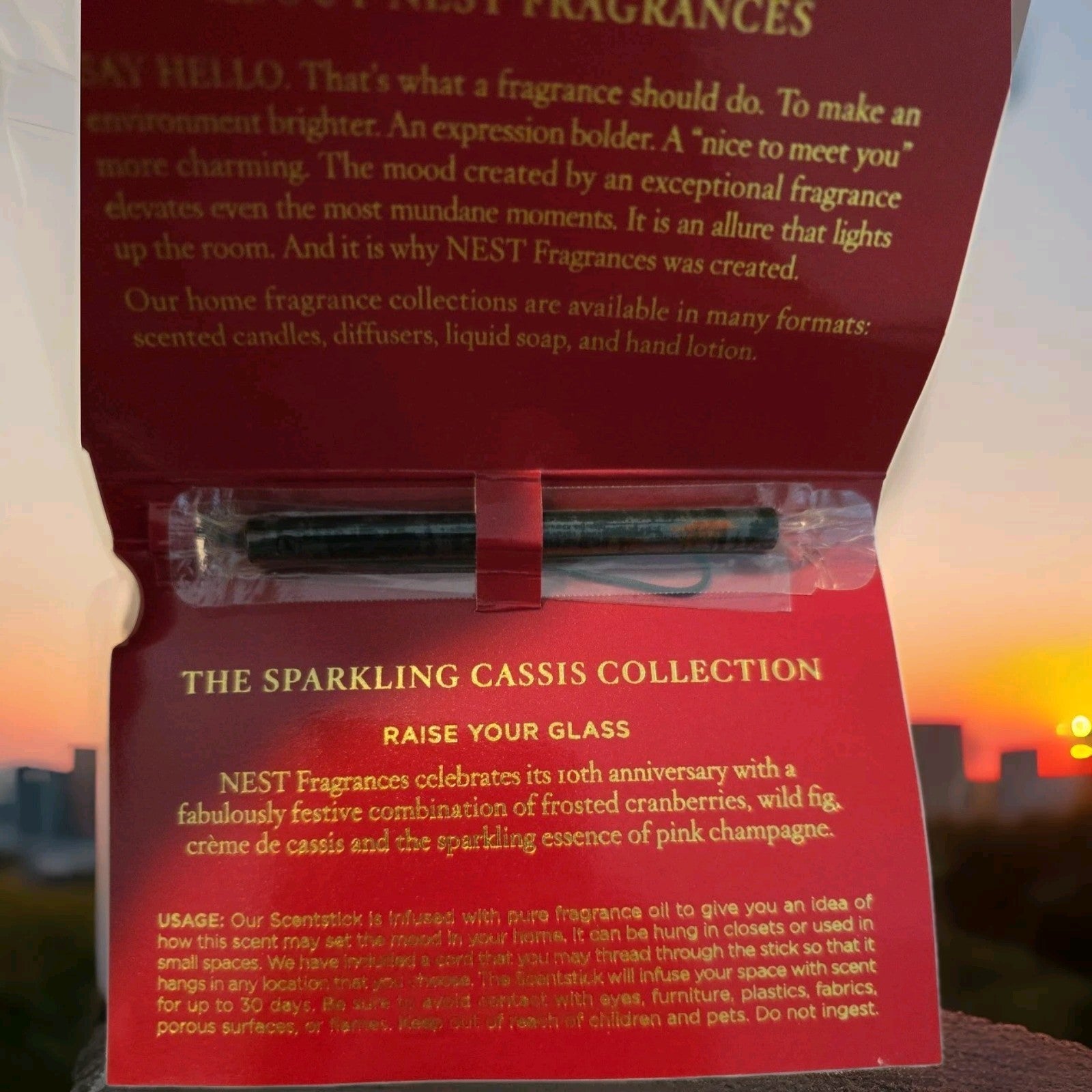 New Nest Fragrances New York Sparkling Cassis Scentstick 4