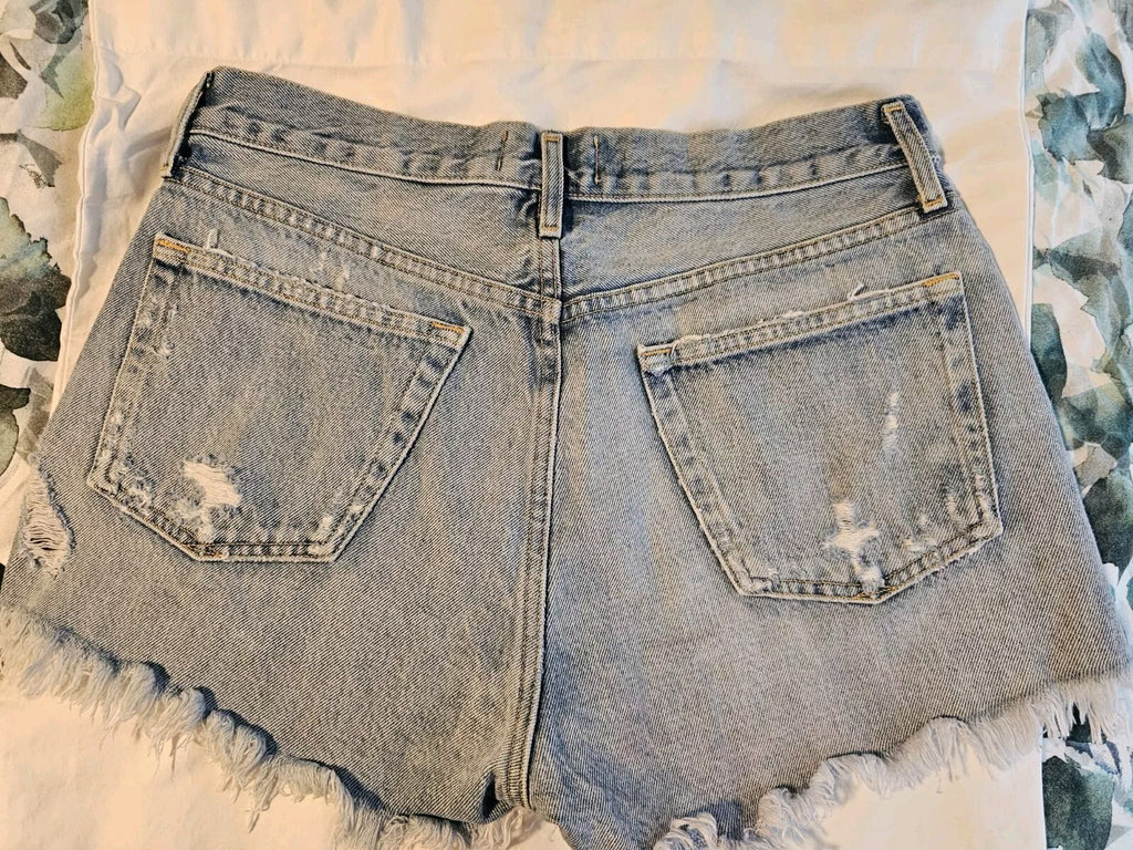 NWOT Agolde 27 Parker Vintage Cut Off High Rise Denim Shorts Blue A026-811 Sz 41