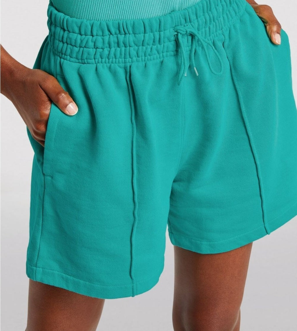 Agolde 90s Pintuck High Rise Sweat Shorts NWOT Sz Small Teal 4