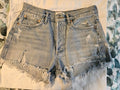 NWOT Agolde 29 Parker Vintage Cut Off High Rise Denim Shorts Blue A026-811 Sz 60